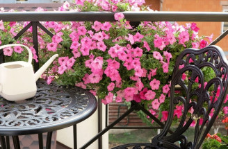 Ktoré kvety sú vhodné na balkón či terasu? TOP 7 najobľúbenejších!