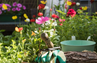 Aká je starostlivosť o okrasnú záhradu v apríli? Tipy, na čo nezabudnúť