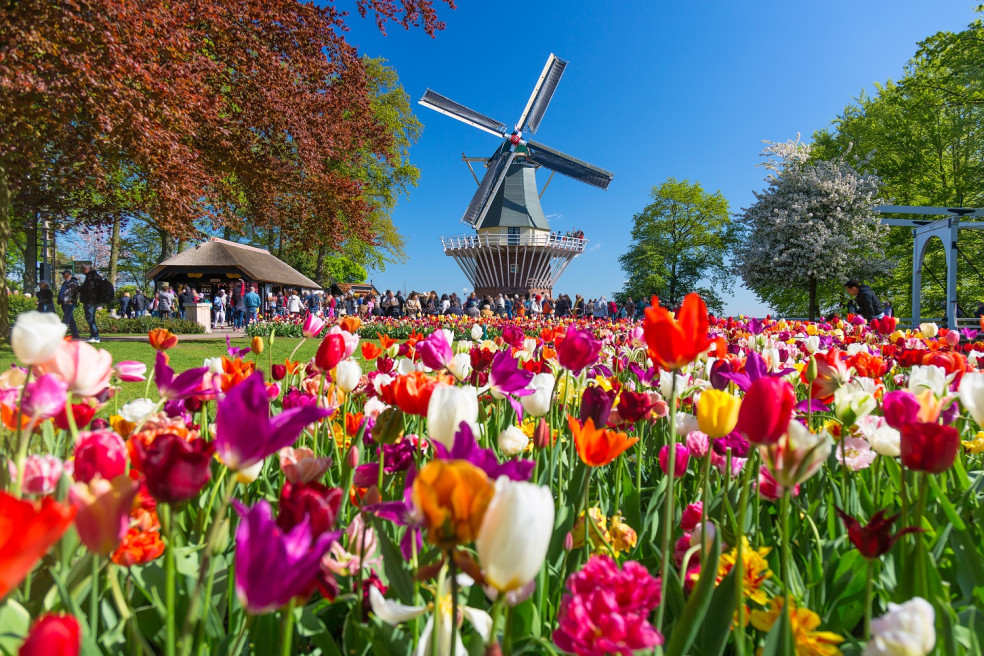 Keukenhof v Holandsku