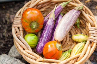Netradičné druhy zeleniny - dopestujte si ačokču, lopúch či physalis!