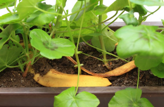 Ako pripraviť zázračné domáce hnojivo z banánovej šupky