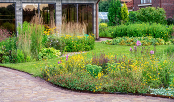 Dažďová záhrada - ako si ju vybudovať, čo do nej zasadiť a ako sa o ňu starať
