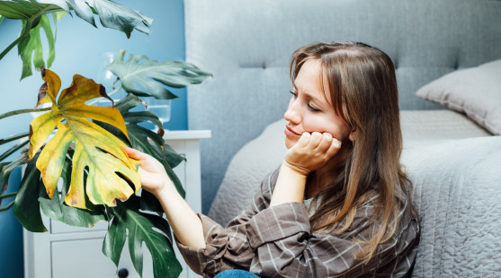 7 varovných signálov, že vaše rastliny trpia – zistite, ako im pomôcť!