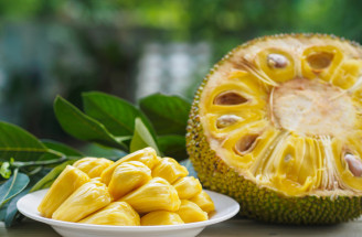 Viete, čo je chlebovník (jackfruit)? Obrovské ovocie s veľkým potenciálom!