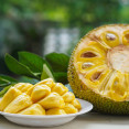 Viete, čo je chlebovník (jackfruit)? Obrovské ovocie s veľkým potenciálom!