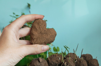 DIY semienkové bomby: Čo to je, ako fungujú a ako si ich vyrobiť doma