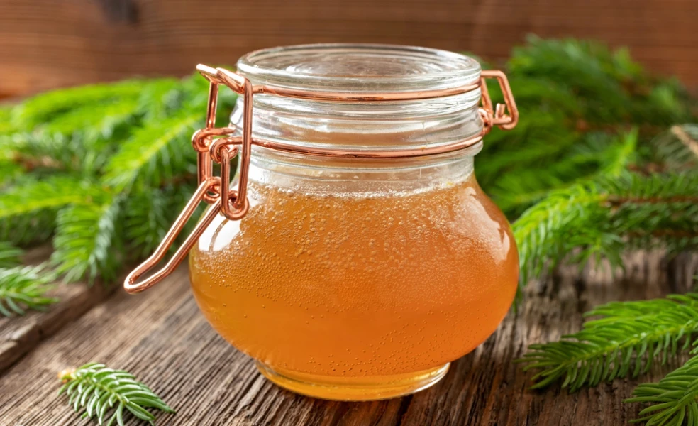 smrekový sirup zo smrekových výhonkov