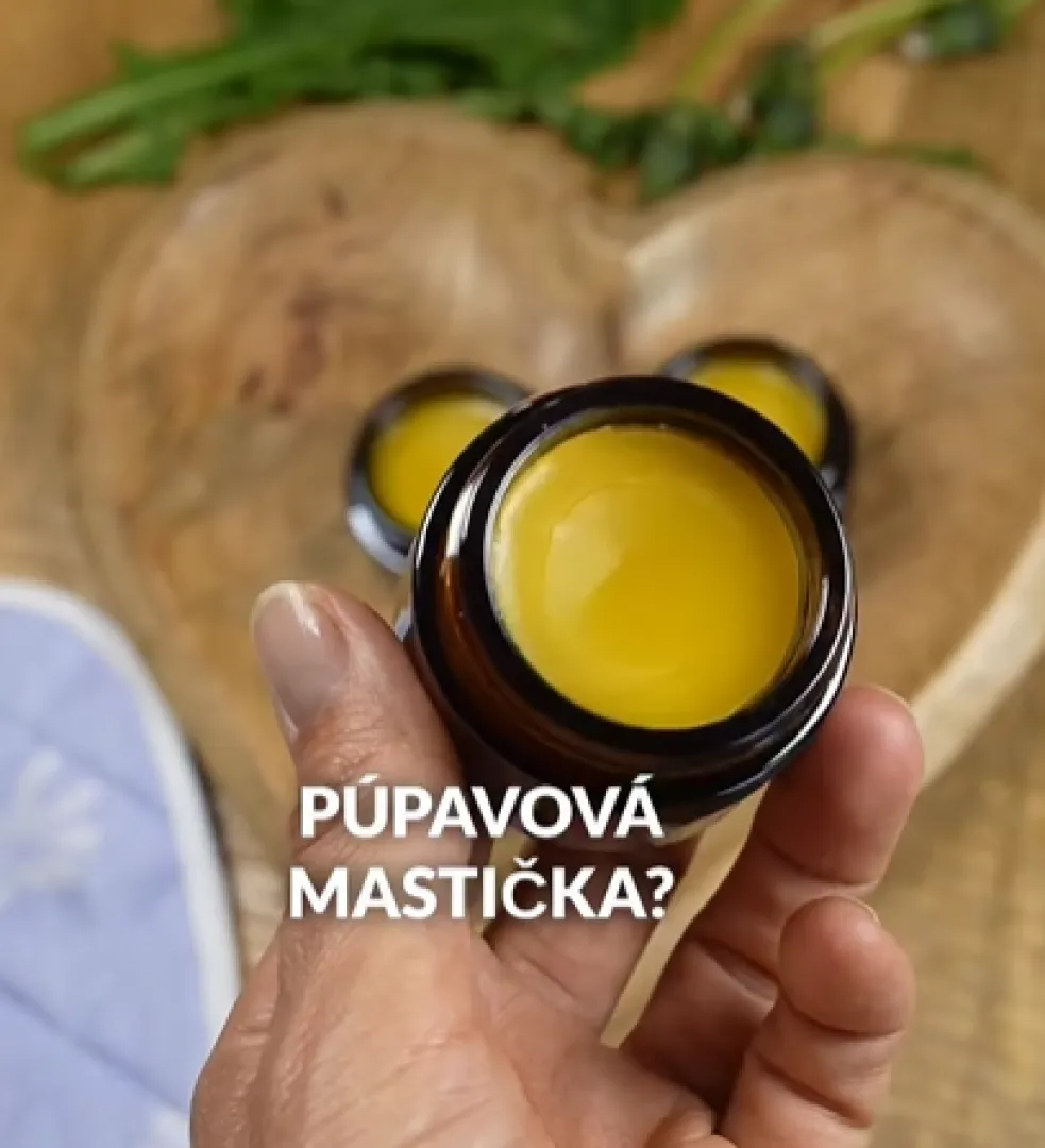 púpava recepty