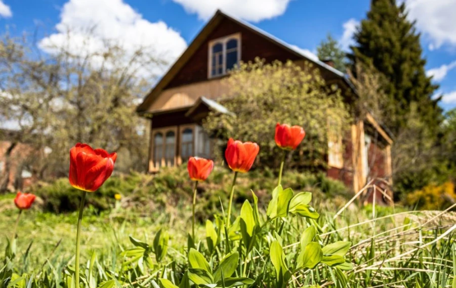 Uľahčite si práce na chalupe s domácimi pomocníkmi