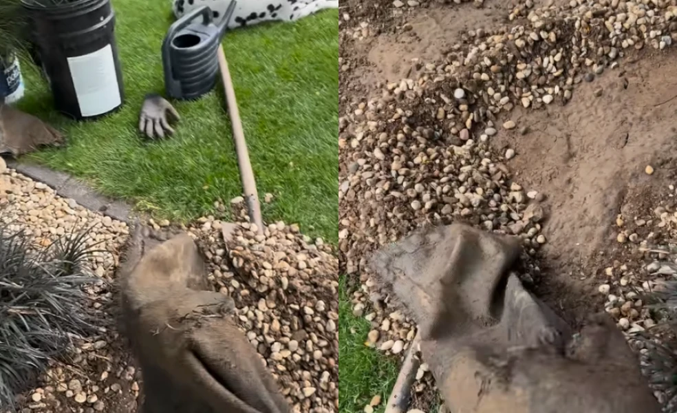 nevýhody fólie proti burine