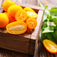 Exotické ovocie kumquat: Prezradíme vám, ako ho pestovať, skladovať a prečo ho konzumovať