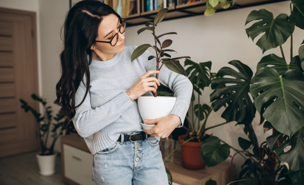 zimná karanténa pre izbovky