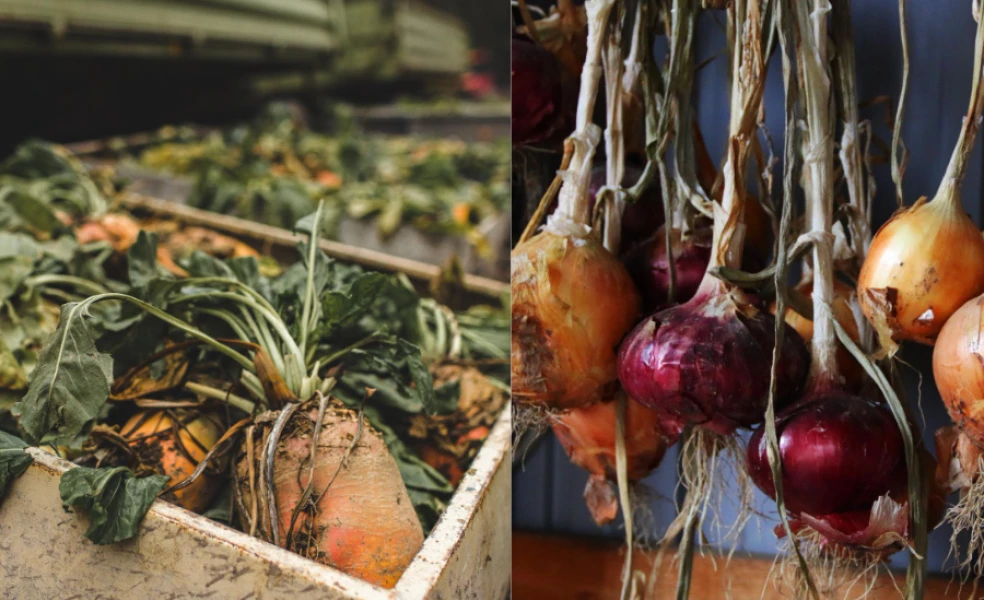 skladovanie zeleniny na jeseň