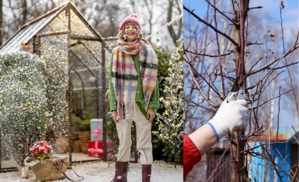 práce v záhrade v zime