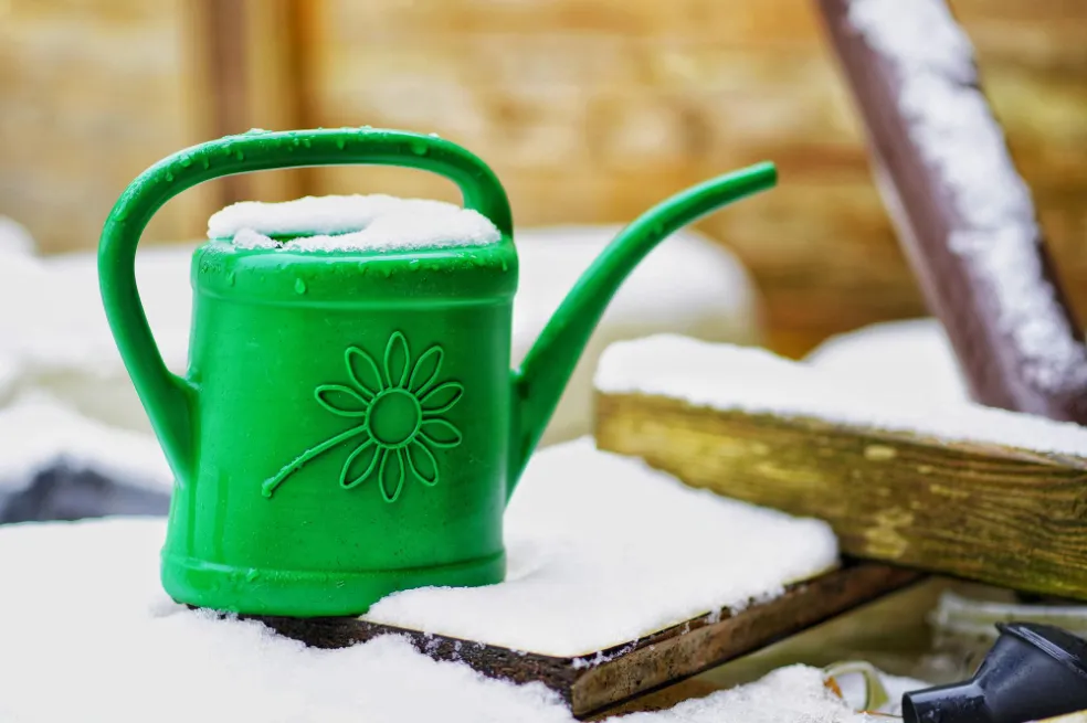 polievanie záhrady v zime