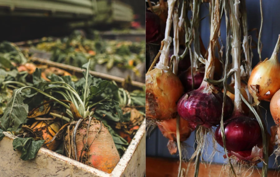 skladovanie zeleniny na jeseň