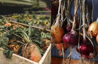 Skladovanie mrkvy, cibule a kapusty: Tradičné a moderné metódy