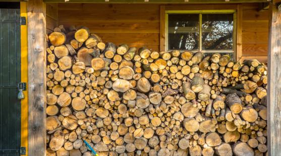 Palivové drevo: Ako ho správne skladovať a akým chybám sa vyhnúť?