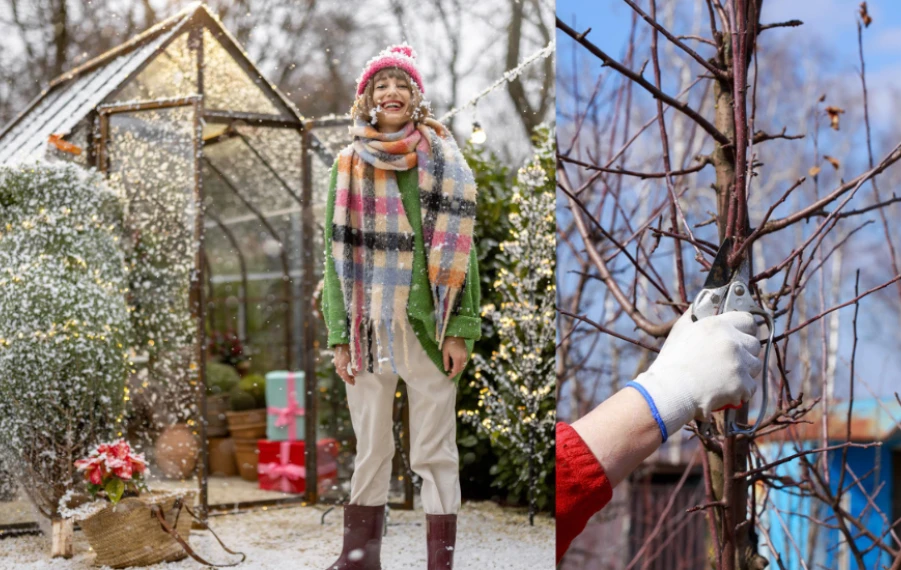 práce v záhrade v zime