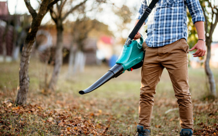 ako vybrať vysávač lístia