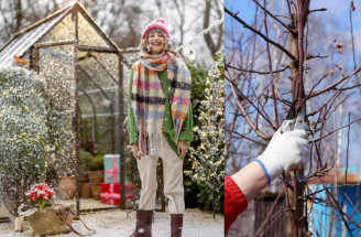 Zimné záhradnícke práce: Čo robiť v záhrade počas chladných mesiacov