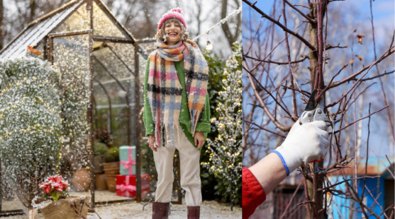 Zimné záhradnícke práce: Čo robiť v záhrade počas chladných mesiacov