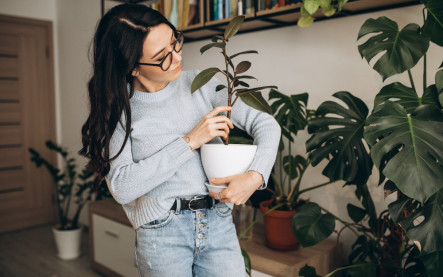 zimná karanténa pre izbovky