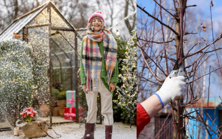 práce v záhrade v zime