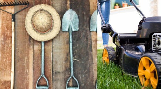 Záhradné nástroje na jeseň: Čo kúpiť a ako sa pripraviť na zimu