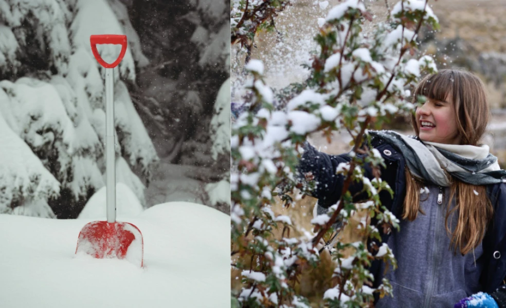 príprava záhrady pred zimou