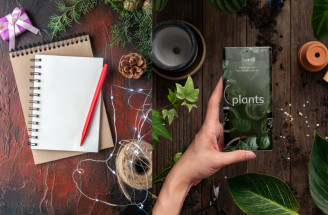 Čo objednať už v decembri do záhrady: Pozor, tieto semená bývajú rýchlo vypredané!