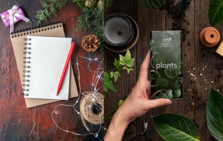 Ktoré semená objednať v decembri