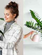 Zelená terapia v decembri: Rastliny, ktoré zlepšujú náladu