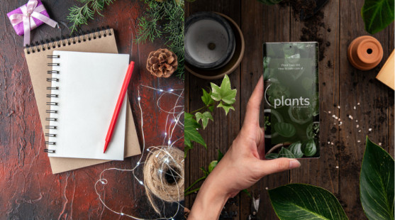 Čo objednať už v decembri do záhrady: Pozor, tieto semená bývajú rýchlo vypredané!