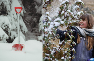 Záhradkársky reset: Čo spraviť pred koncom roka?