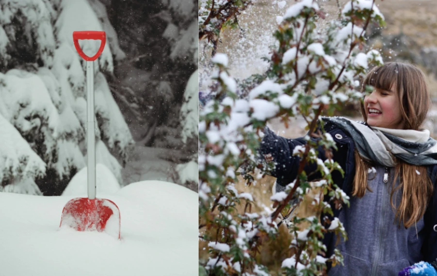 príprava záhrady pred zimou