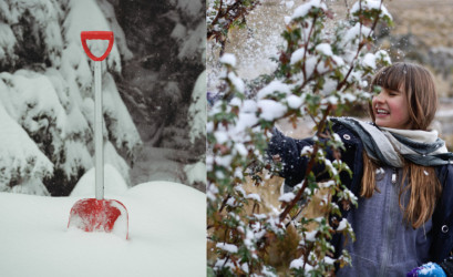 Záhradkársky reset: Čo spraviť pred koncom roka?