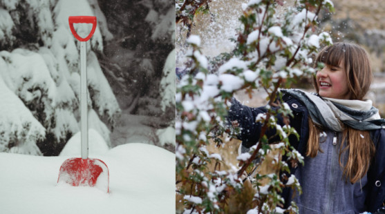 Záhradkársky reset: Čo spraviť pred koncom roka?