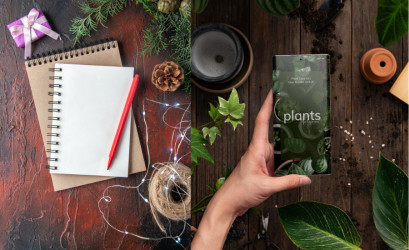 Čo objednať už v decembri do záhrady: Pozor, tieto semená bývajú rýchlo vypredané!