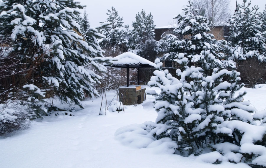 Záhrada v zime