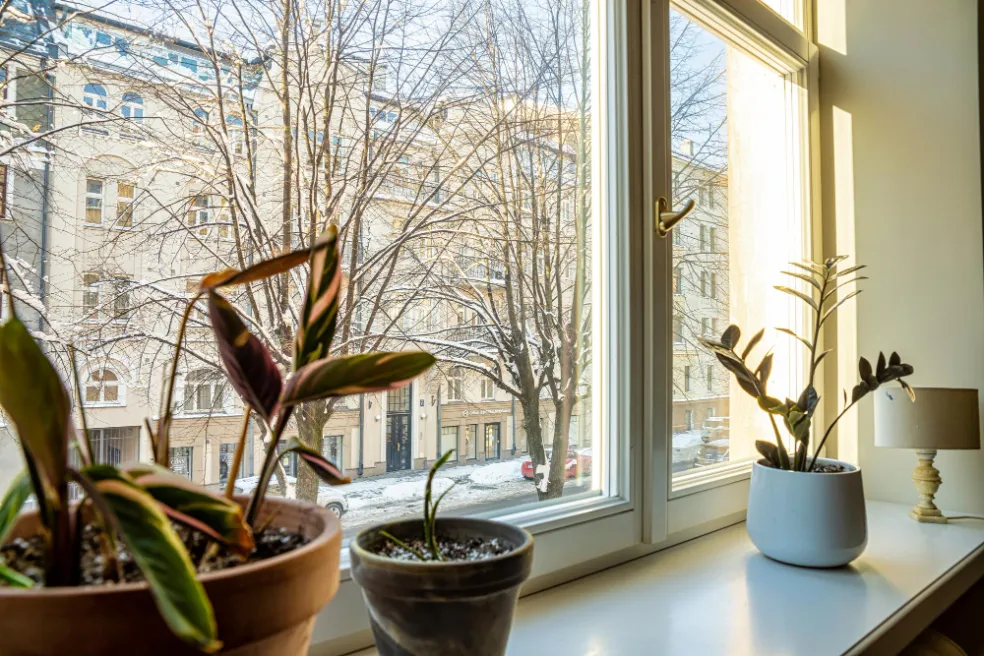 prečo izbovky chradnú