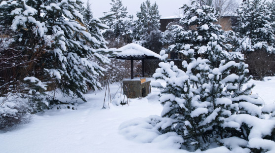 Záhrada v zime: Čo môžete ešte v tomto období vykonať a na čo by ste nemali zabudnúť?