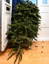 Ako zrecyklovať vianočný stromček? Inšpirujte sa našimi tipmi!