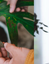 Izbovky v januári: Prezradíme vám, prečo chradnú a čo im skutočne chýba!