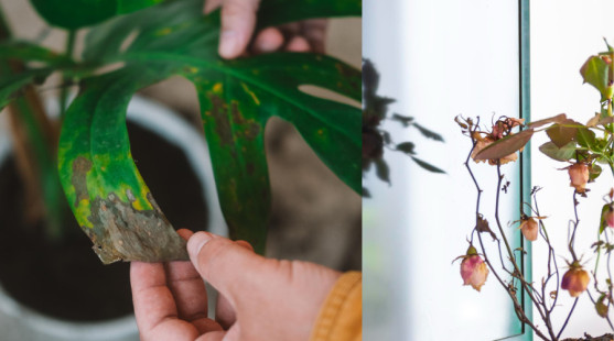 Izbovky v januári: Prezradíme vám, prečo chradnú a čo im skutočne chýba!
