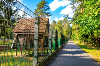 Ako vybrať správne pletivo na plot podľa účelu