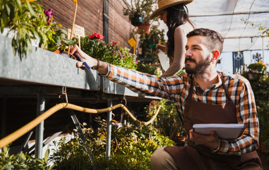 Plánovanie záhrady