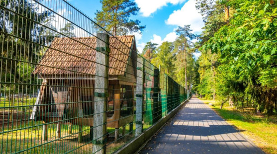 Ako vybrať správne pletivo na plot podľa účelu