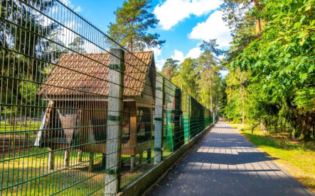 Ako vybrať správne pletivo na plot podľa účelu