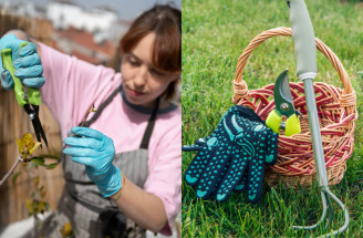 Prechodné obdobie v záhrade: Čo robiť, keď nemrzne, ale ešte nie je jar
